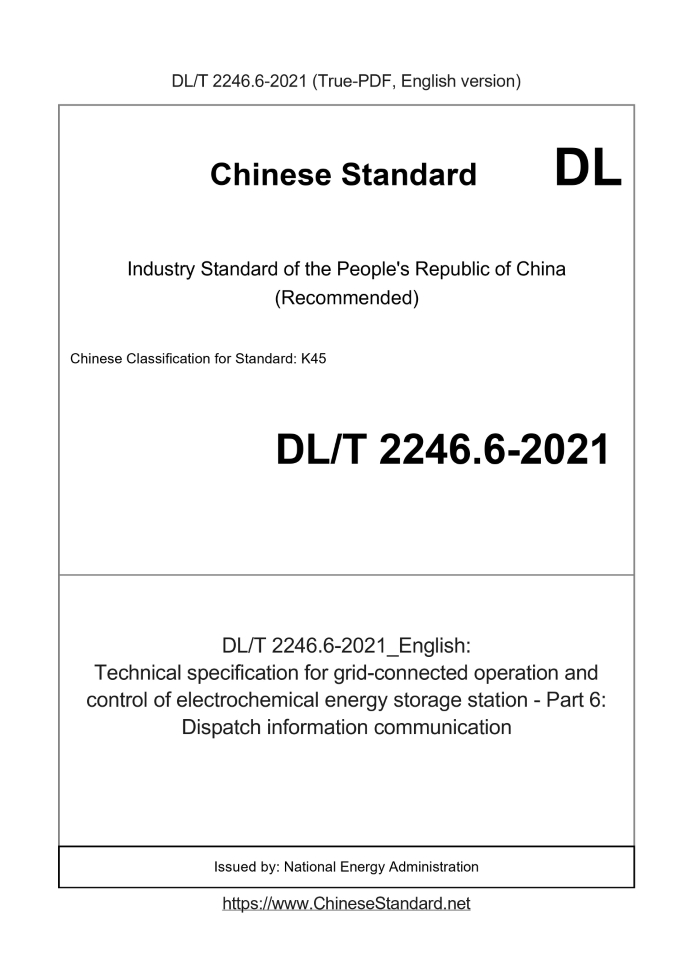DL/T 2246.6-2021