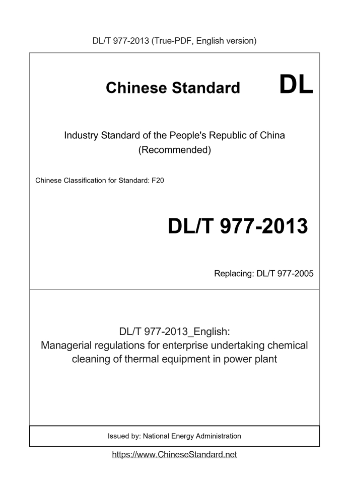 DL/T 977-2013