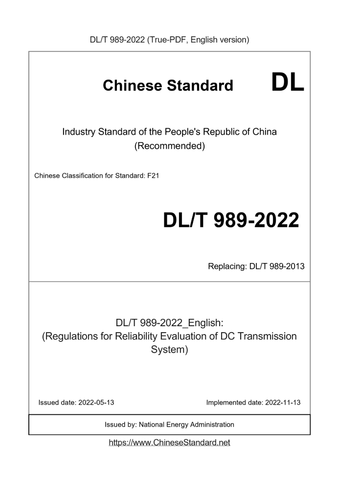DL/T 989-2022