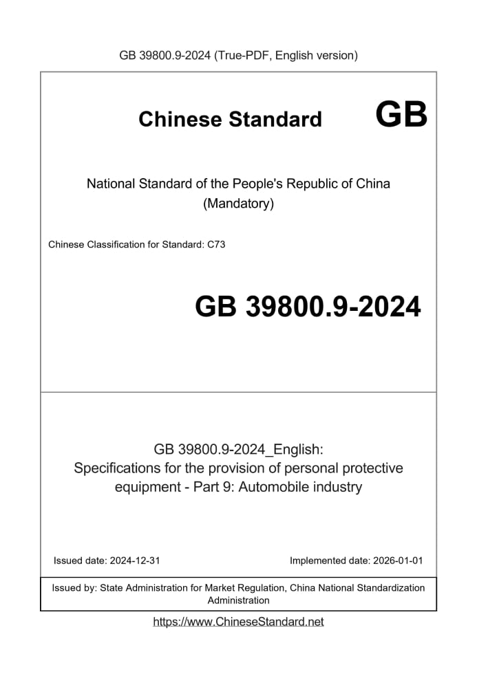 GB 39800.9-2024