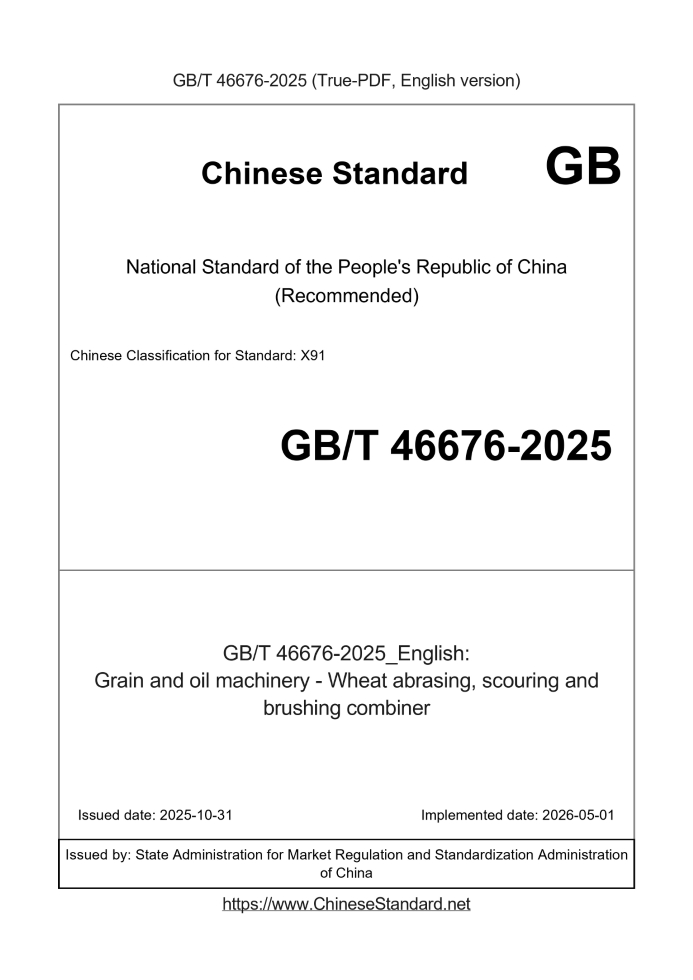 GB/T 46676-2025 English cover page