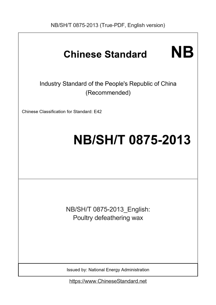 NBSHT0875-2013