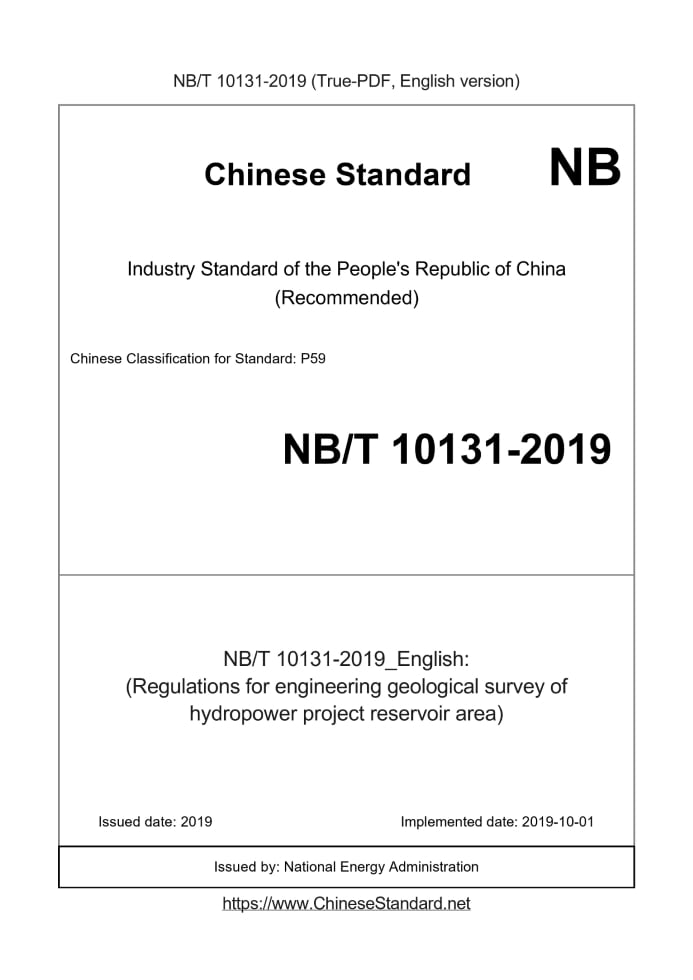 NB/T 10131-2019