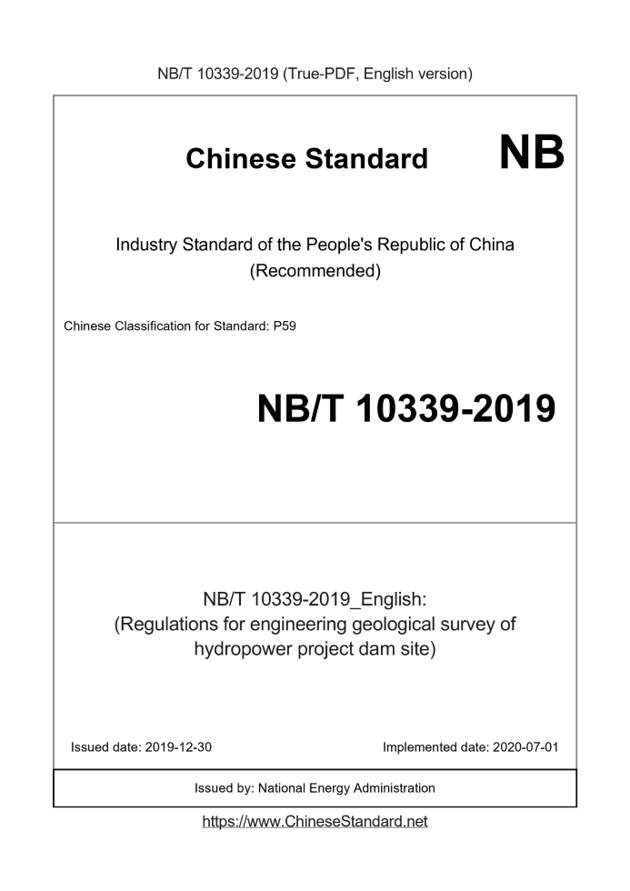 NB/T 10339-2019
