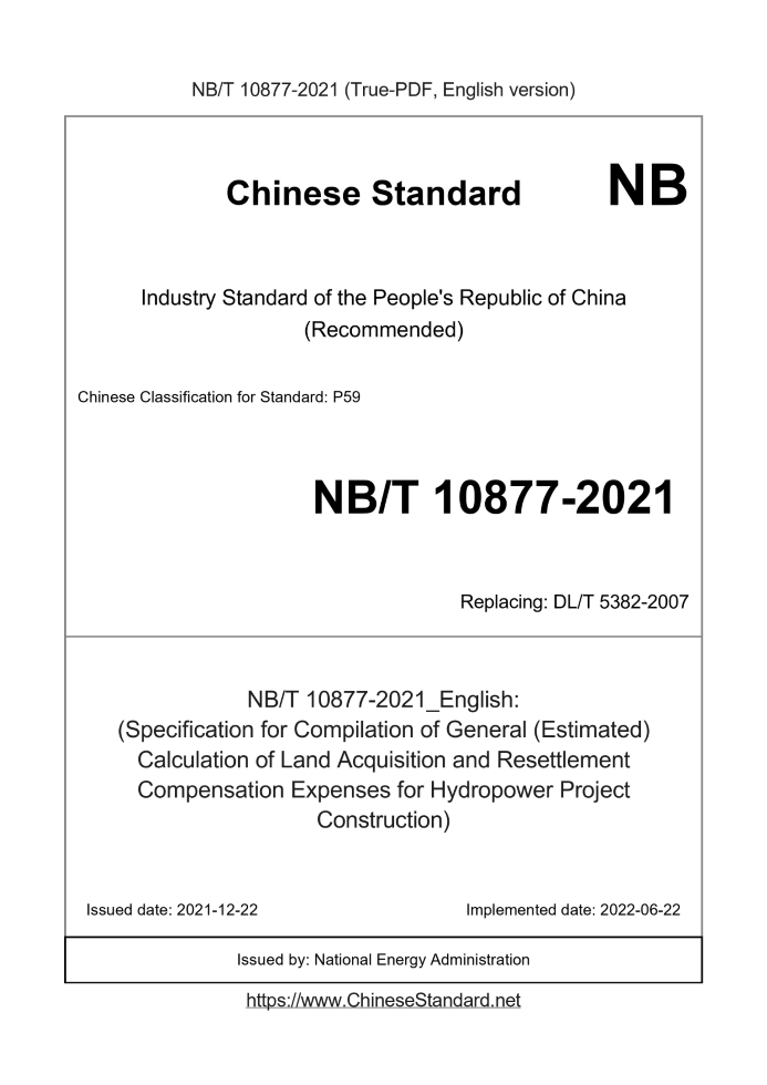 NB/T 10877-2021