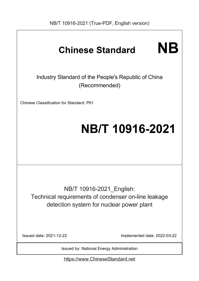 NB/T 10916-2021
