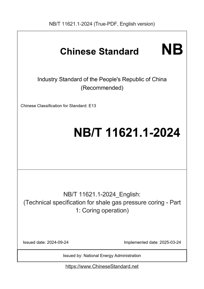 NB/T 11621.1-2024