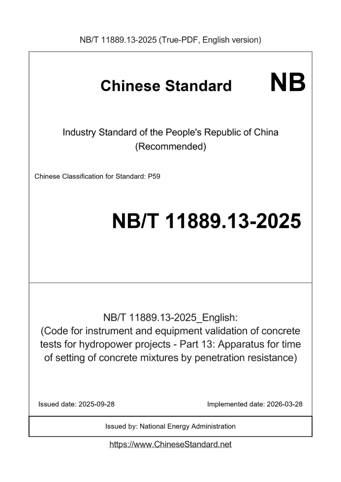 NB/T 11889.13-2025 English cover page