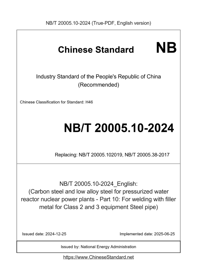 NB/T 20005.10-2024