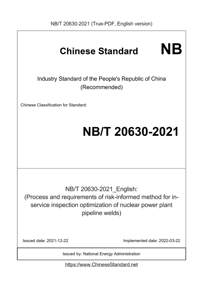 NB/T 20630-2021