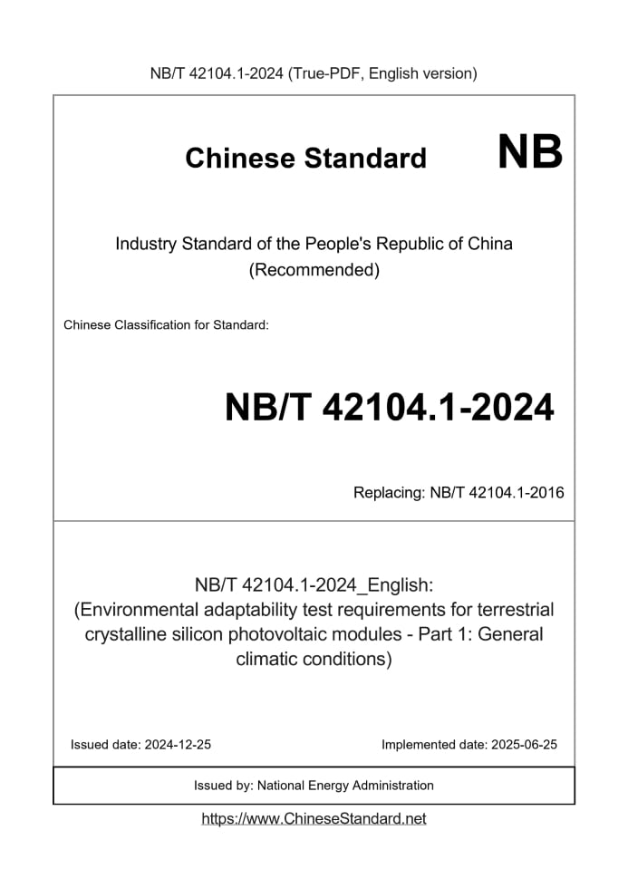 NB/T 42104.1-2024