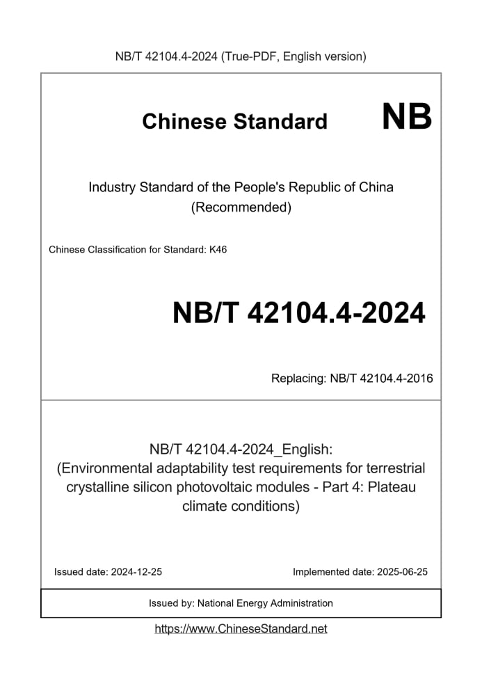 NB/T 42104.4-2024