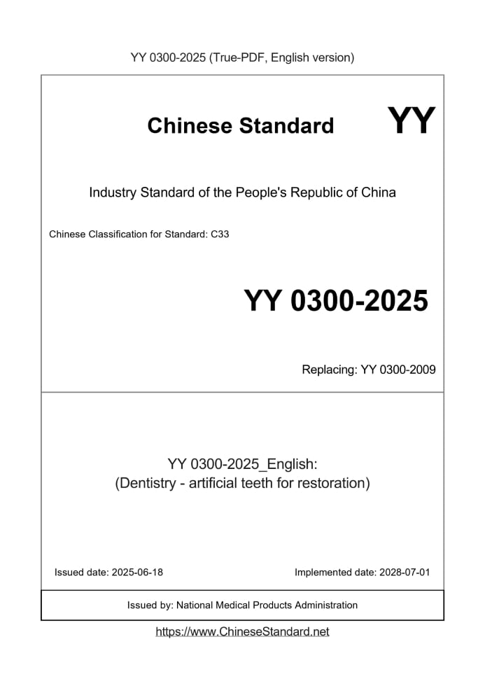 YY 0300-2025